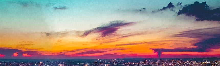 平邑茶虫网_平邑品茶